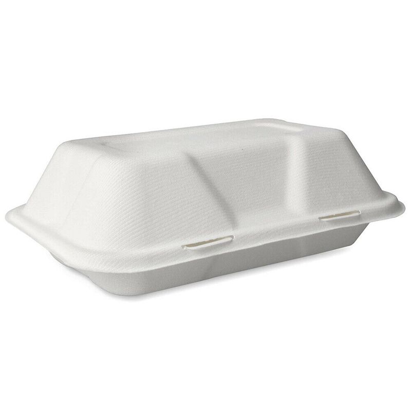 Bagasse 1 Compartment Takeaway Box 9 x 6''