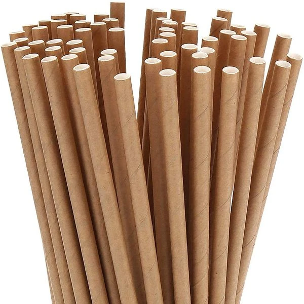 Kraft Paper Straws 8" (20cm) 6mm Bore 1 Kraft Paper Straws 8
