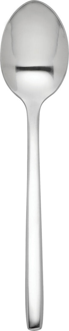 Radius Tea Spoon - Pack of 12