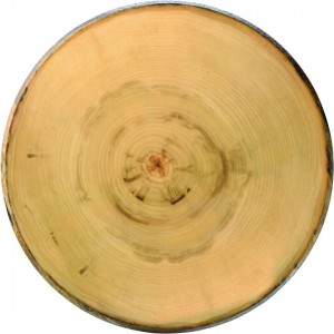 Elm Footed Round Platter 13.5" (35cm)