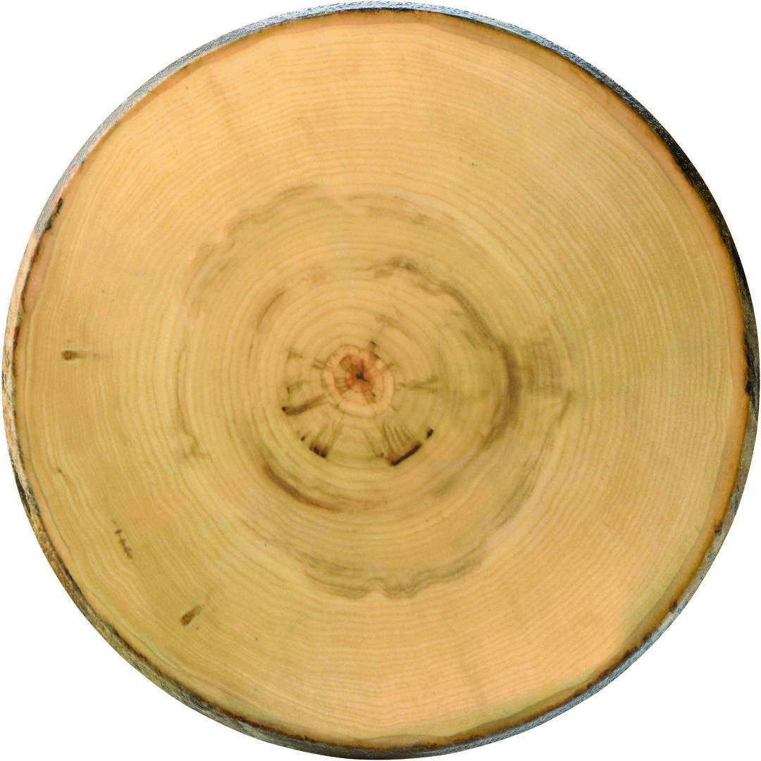 Elm Footed Round Platter 13.5" (35cm) - Pack of 2