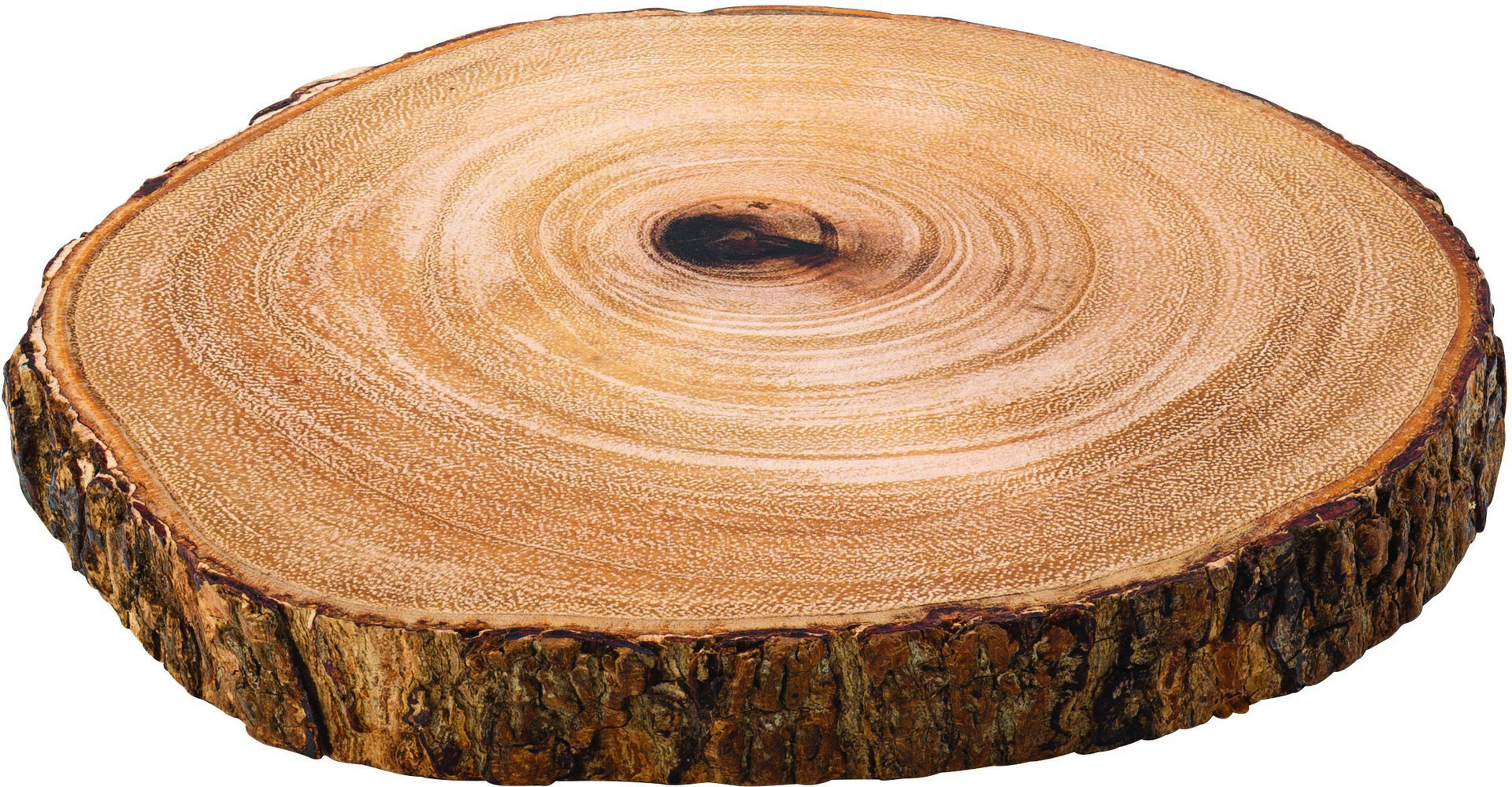 Darwin Board 7.5" (20cm) - Pack of 6