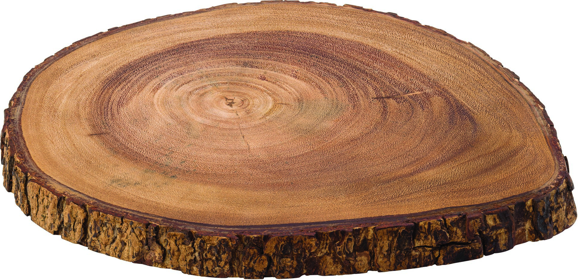 Darwin Board 11.75" (30cm) - Pack of 6