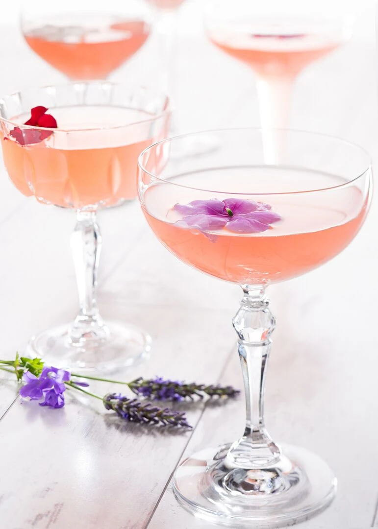 Charleston Coupe 9oz (26cl) - Pack of 24 2 Charleston Coupe 9oz (26cl) - Pack of 24 - Image 2