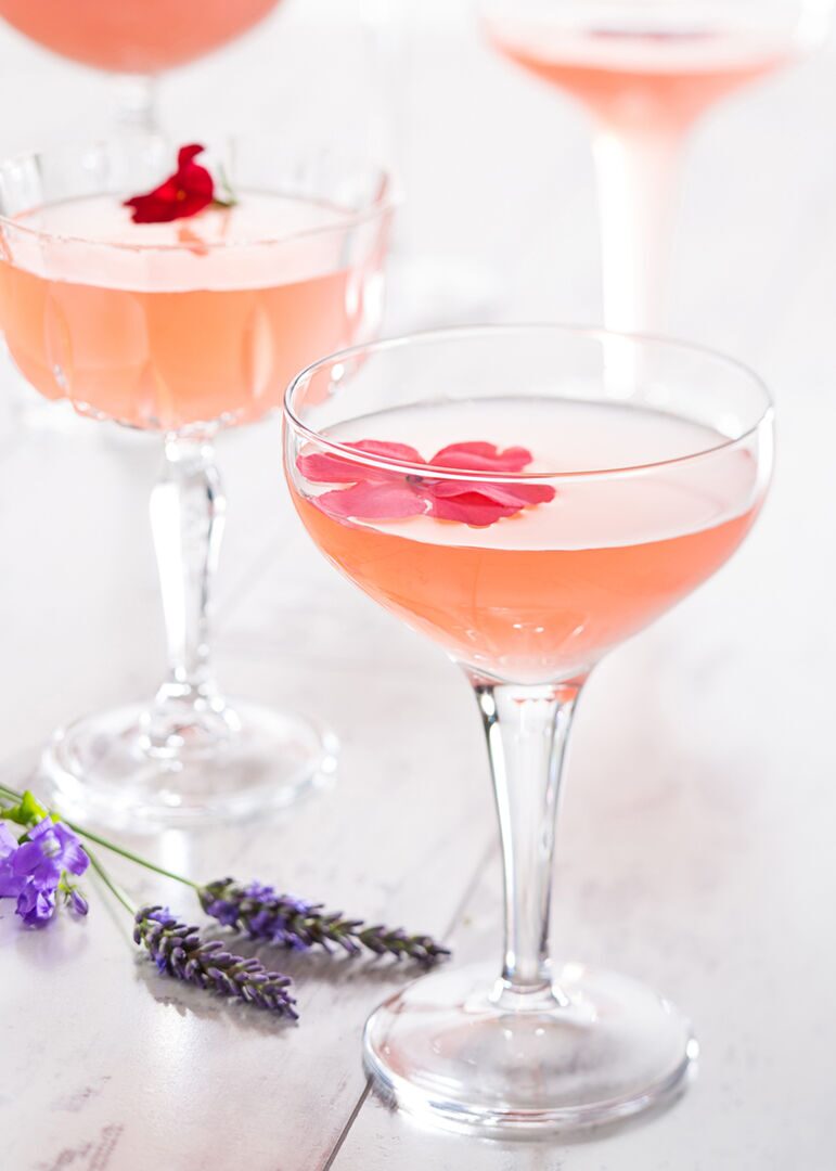 Moda Fully Toughened Coupe 7.5oz (21cl) - Pack of 12 2 Moda Fully Toughened Coupe 7.5oz (21cl) - Pack of 12 - Image 2