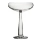 champagne coupe glasses