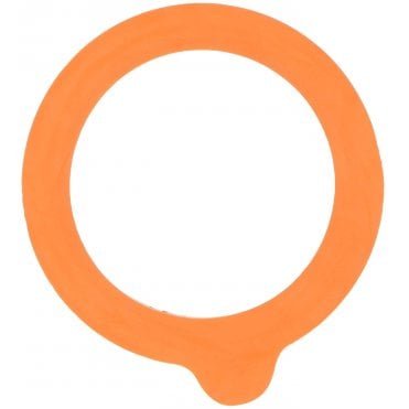 Large Replacement Seals - Pack of 10