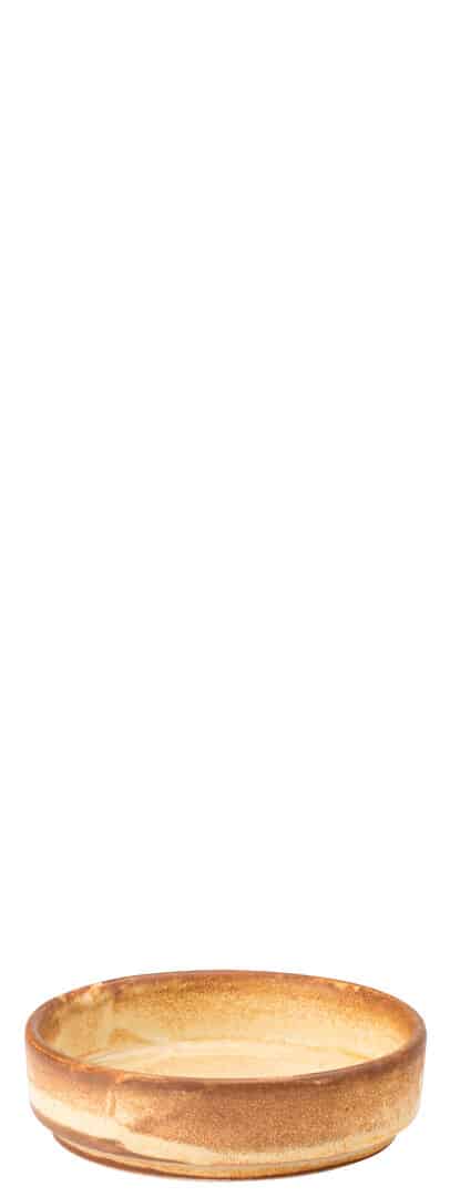 Murra Honey Walled Dip Pot 3" (8cm) - Box of 6