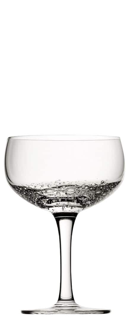 Botanist Coupe 5.5oz (16cl) – Box of 6 1 Botanist Coupe 5.5oz (16cl) – Box of 6