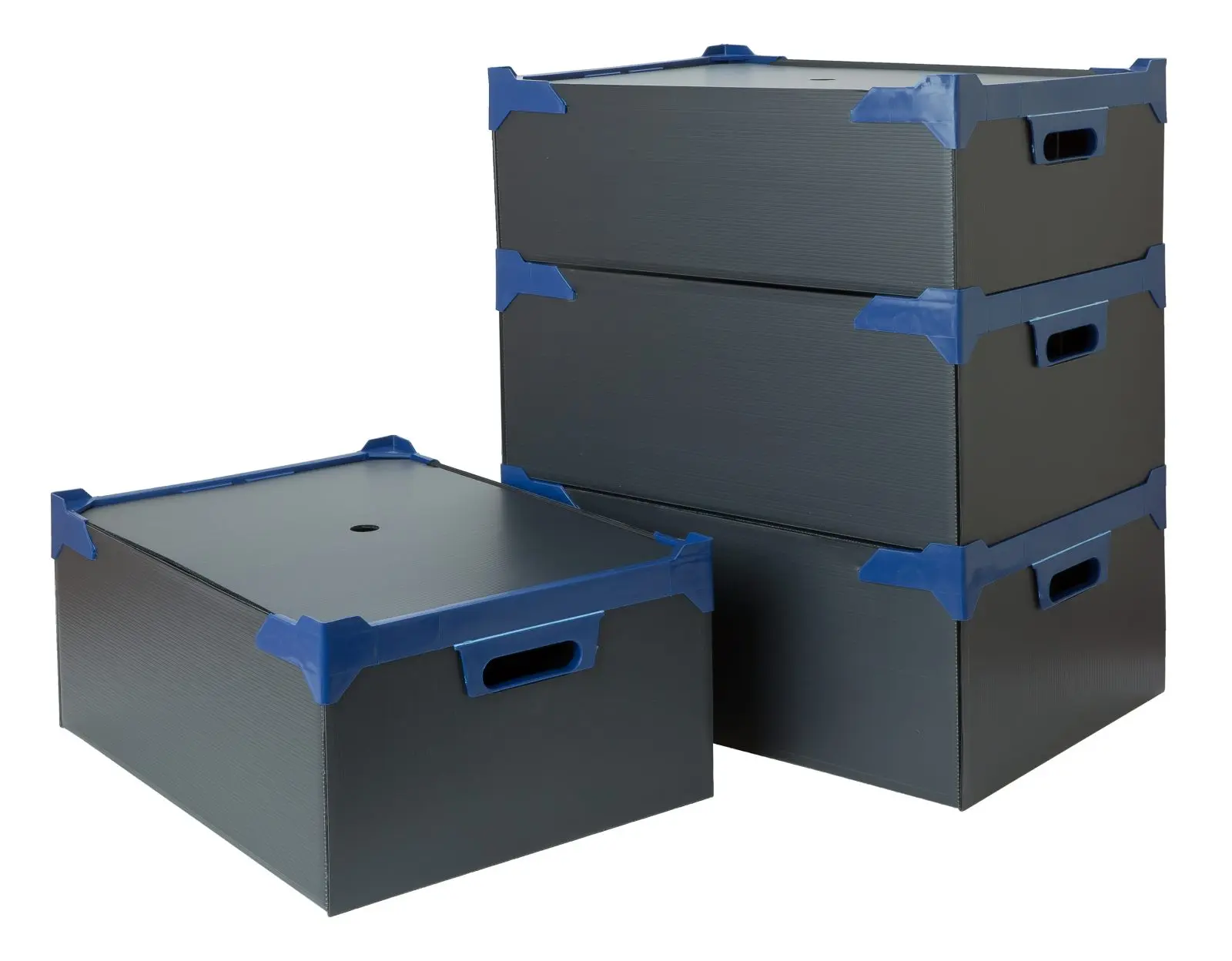 Glassware Storage Box PK5 L500mm x W345mm x H165mm 2 Glassware Storage Box PK5 L500mm x W345mm x H165mm - Image 2