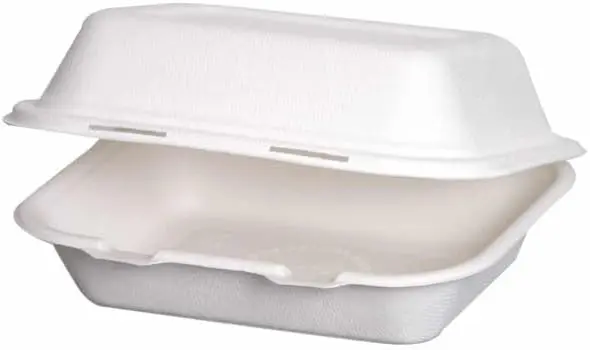 Bagasse Clamshell Takeaway Box 7 x 5 Inch 1 Bagasse Clamshell Takeaway Box 7 x 5 Inch