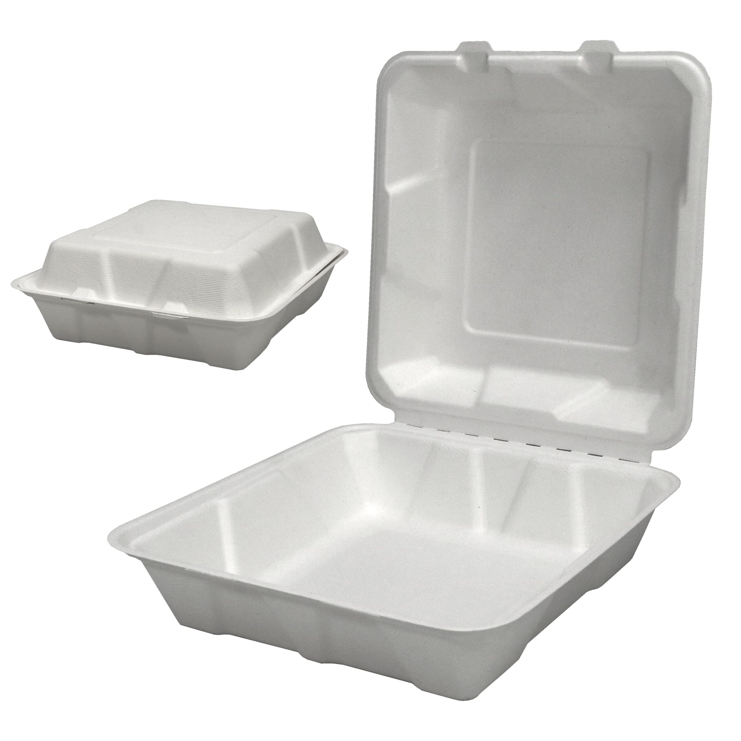 We Can Source It Ltd - 9x9 inch Single Compartment Bagasse Clamshell Food Lunch Box