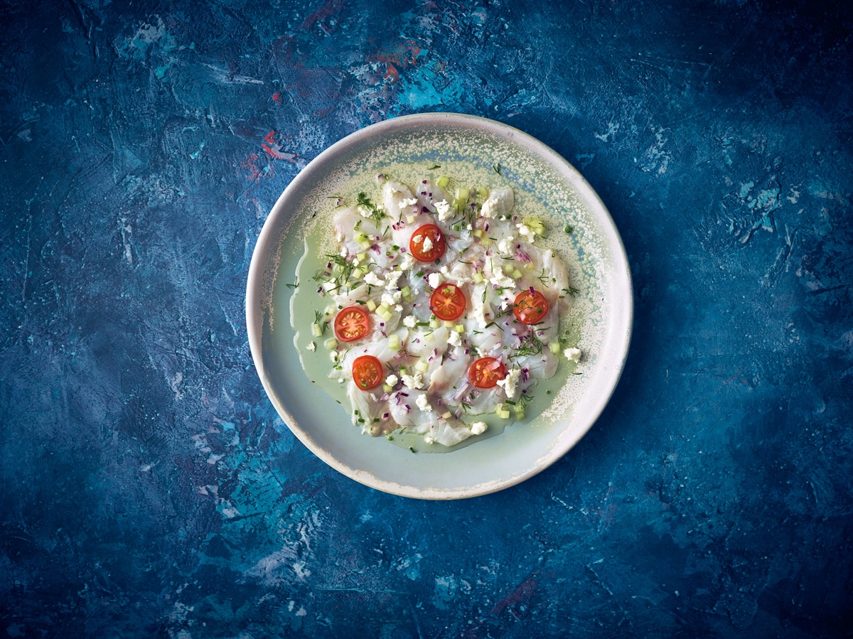 Terra Porcelain Seafoam Coupe Plate 27.5cm - Pack of 6 4 Terra Porcelain Seafoam Coupe Plate 27.5cm - Pack of 6 - Image 4