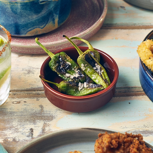 Genware Porcelain Terracotta Round Dish 10cm/ 4" - Pack of 6 2 Genware Porcelain Terracotta Round Dish 10cm/ 4" - Pack of 6 - Image 2