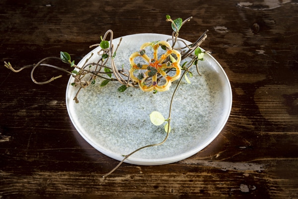 Lunar Ocean Hygge Flat Plate 16cm - Pack of 12 3 Lunar Ocean Hygge Flat Plate 16cm - Pack of 12 - Image 3