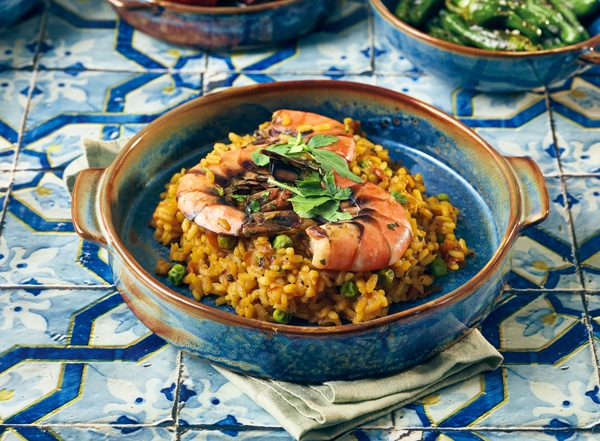 Terra Porcelain Aqua Blue Round Eared Dish 20.3cm - Pack of 6 4 Terra Porcelain Aqua Blue Round Eared Dish 20.3cm - Pack of 6 - Image 4