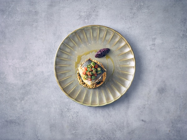 Terra Porcelain Matt Grey Scalloped Coupe Plate 26cm - Pack of 6 5 Terra Porcelain Matt Grey Scalloped Coupe Plate 26cm - Pack of 6 - Image 5