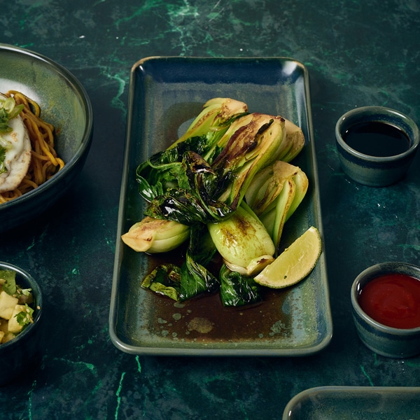 Terra Porcelain Aqua Green Narrow Rectangular Platter 31 x 14cm - Pack of 6 4 Terra Porcelain Aqua Green Narrow Rectangular Platter 31 x 14cm - Pack of 6 - Image 4