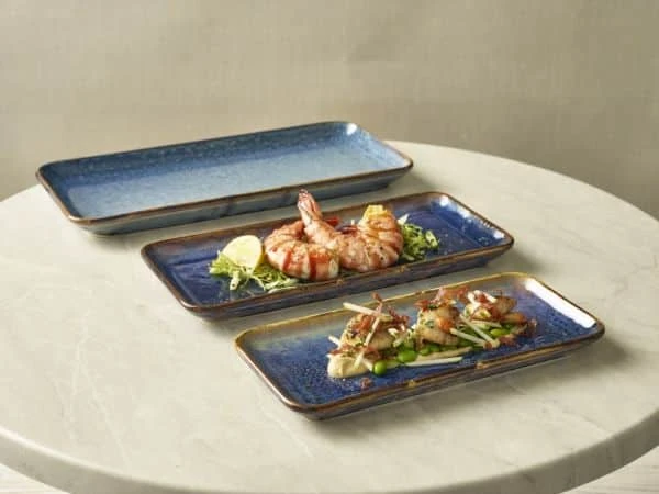 Terra Porcelain Aqua Blue Narrow Rectangular Platter 27 x 12.5cm - Pack of 6 4 Terra Porcelain Aqua Blue Narrow Rectangular Platter 27 x 12.5cm - Pack of 6 - Image 4