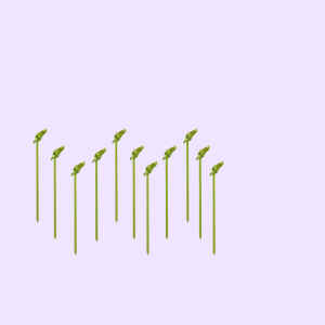 Barbecue Accessories