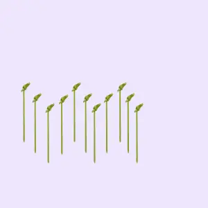 Barbecue Accessories