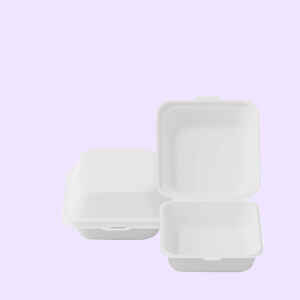Compostable Burger & Food Boxes