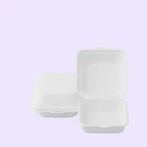 Compostable Burger & Food Boxes
