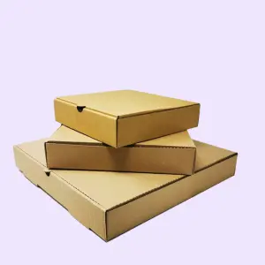 Compostable Pizza Boxes