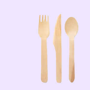 Disposable Cutlery